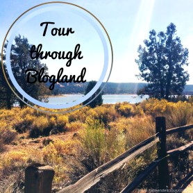 Tour Through Blogland Award