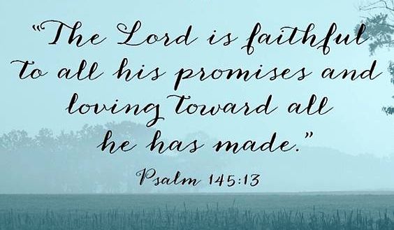 f8dd9db30f5eed5377b792bbeaea25a6