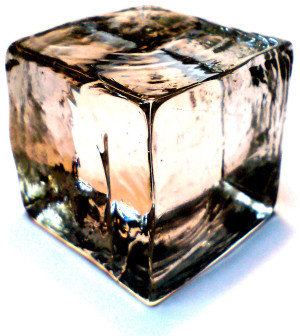 toastmasters-1-the-ice-breaker